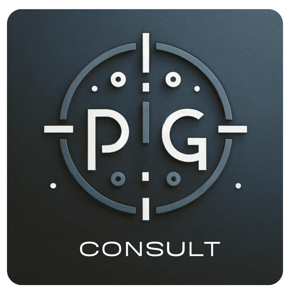 Logo de l'entreprise PG CONSULT
