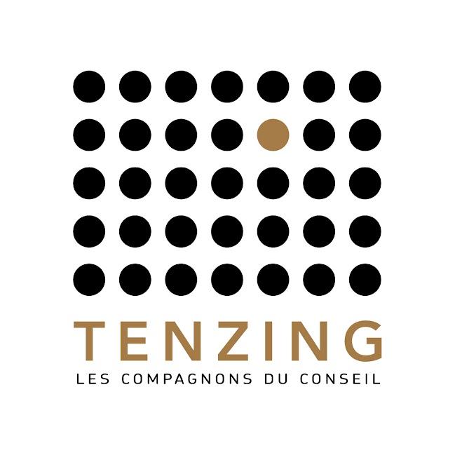 Logo de l'entreprise TENZING