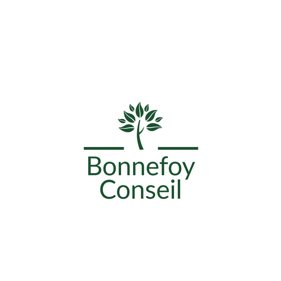 Logo de l'entreprise Bonnefoy Conseil 