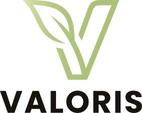 Logo de l'entreprise VALORIS