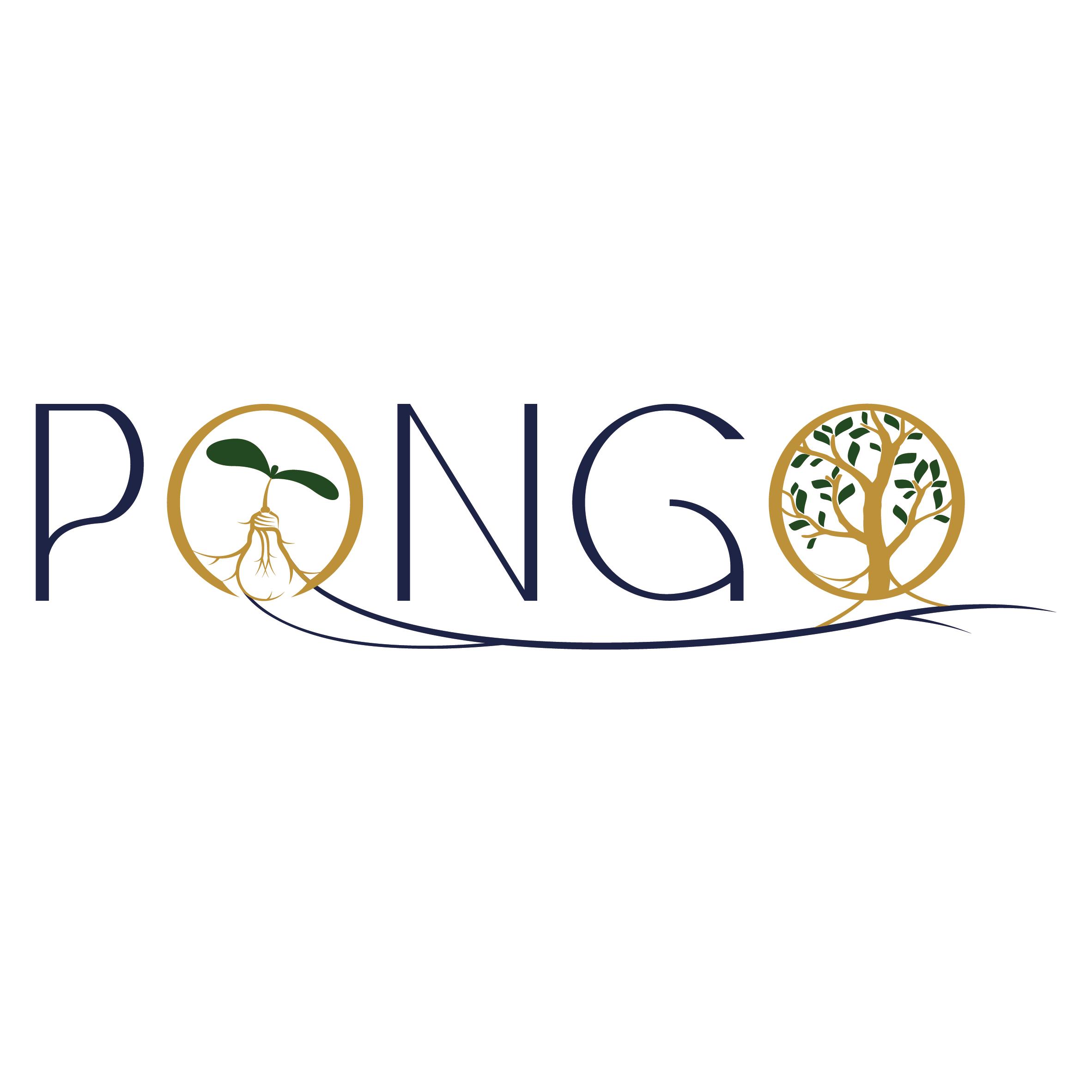 Logo de l'entreprise PONGO S.A.S.