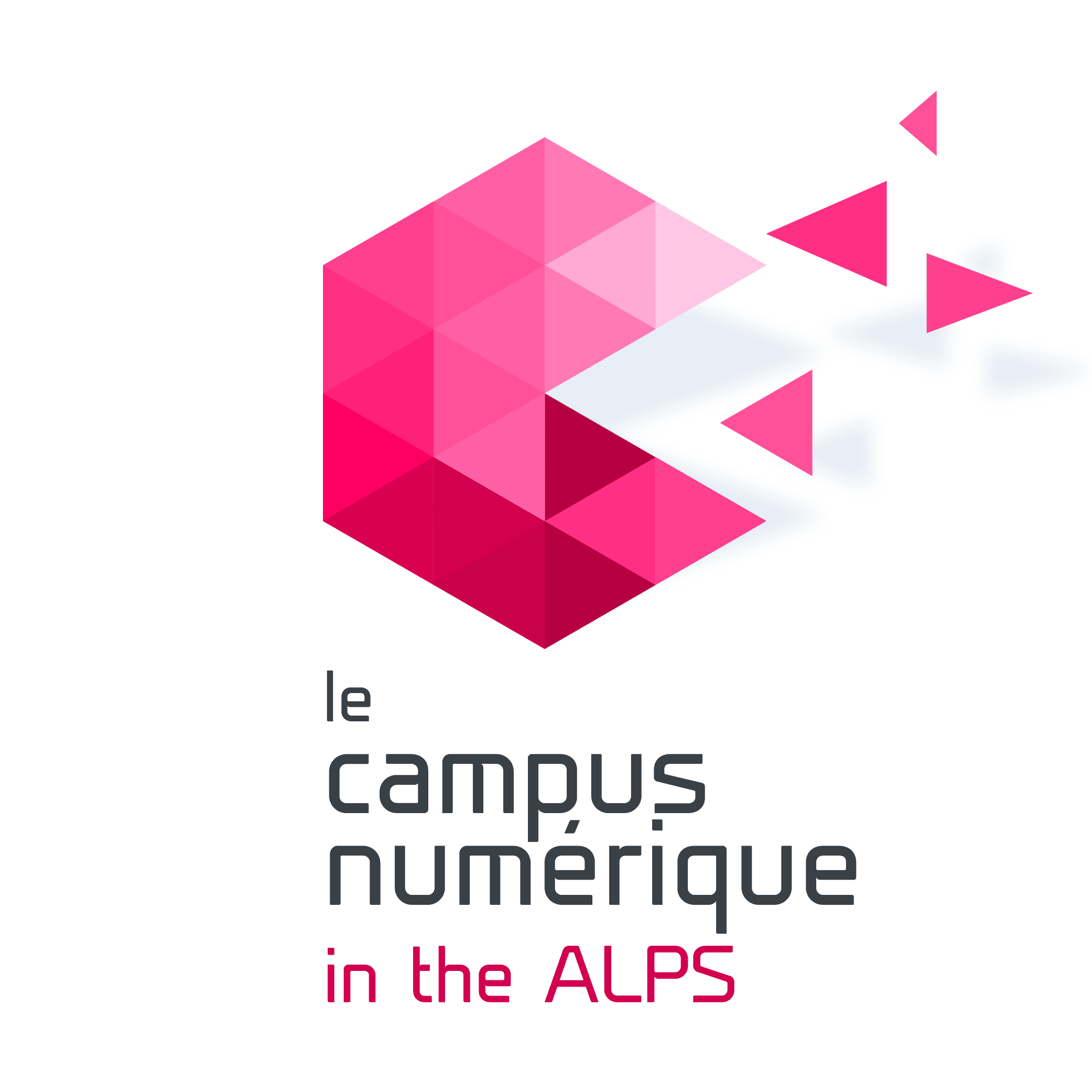 Logo de l'entreprise LE CAMPUS NUMERIQUE IN THE ALPS.