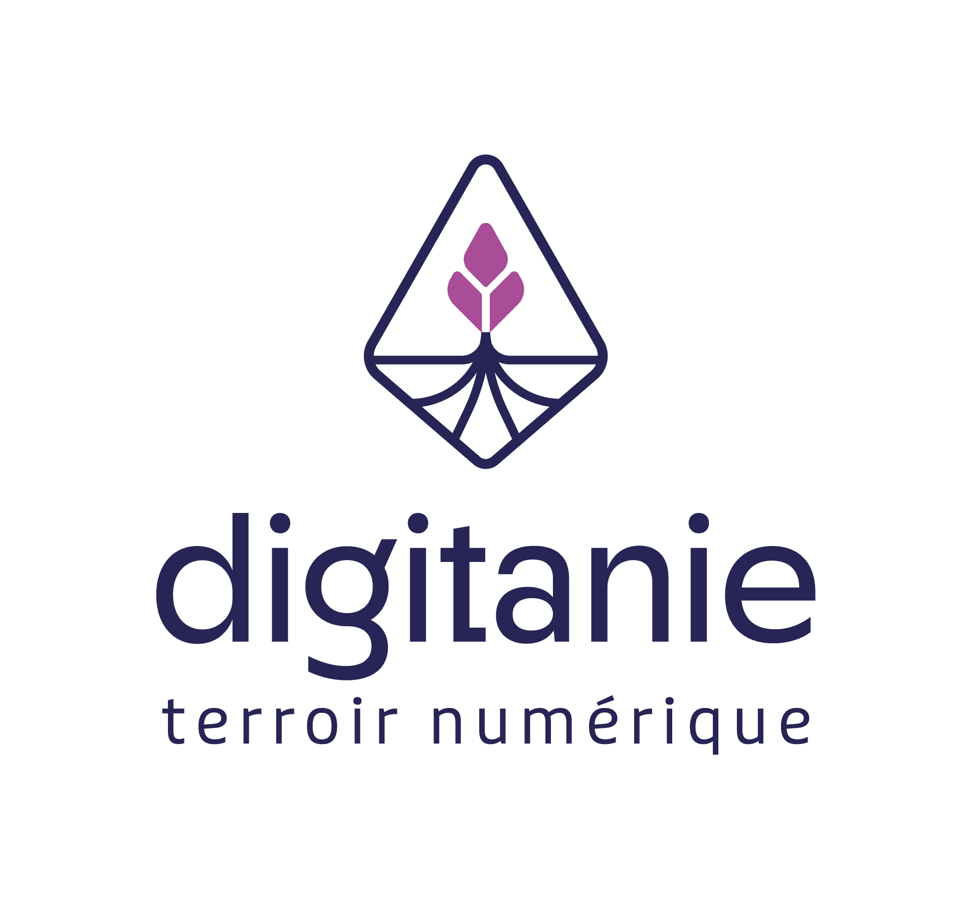 Logo de l'entreprise DIGITANIE