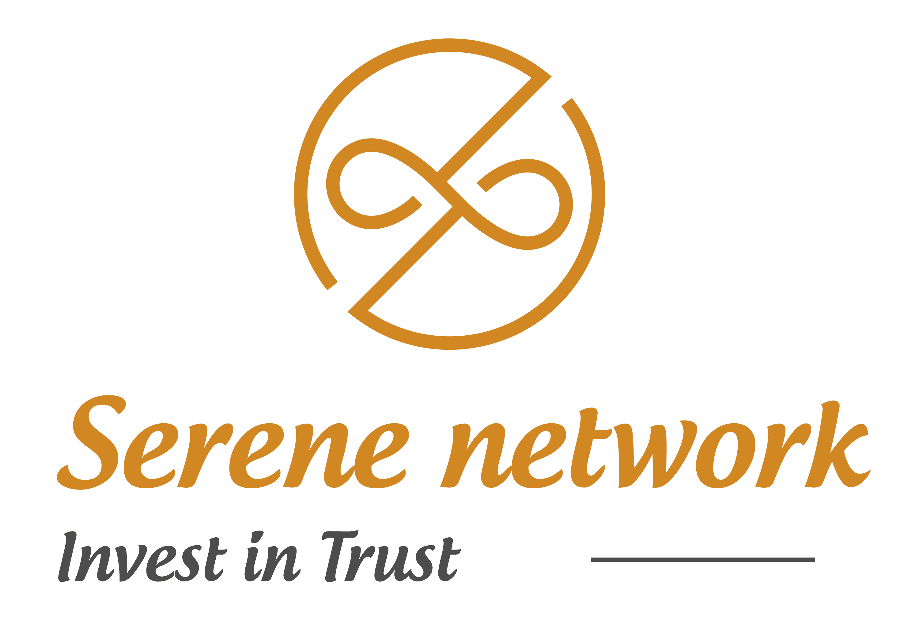 Logo de l'entreprise SERENE NETWORK