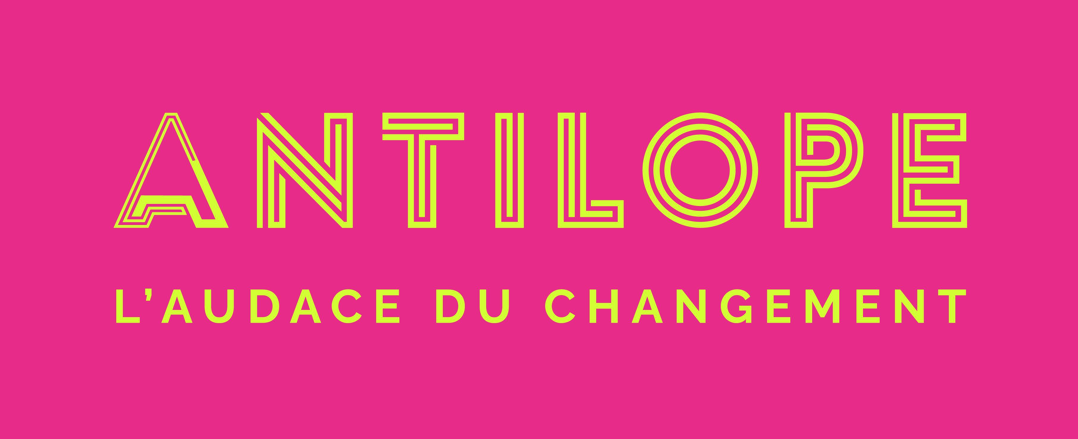 Logo de l'entreprise ANTILOPE E.A