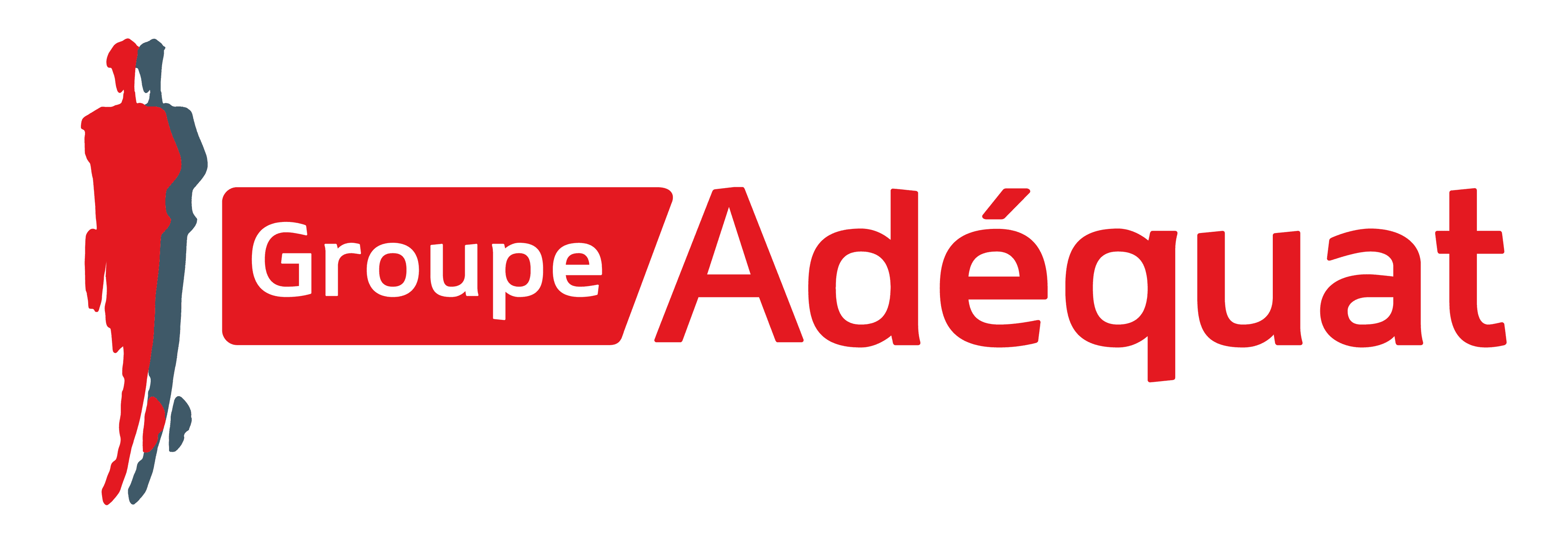 Logo de l'entreprise GROUPE ADEQUAT