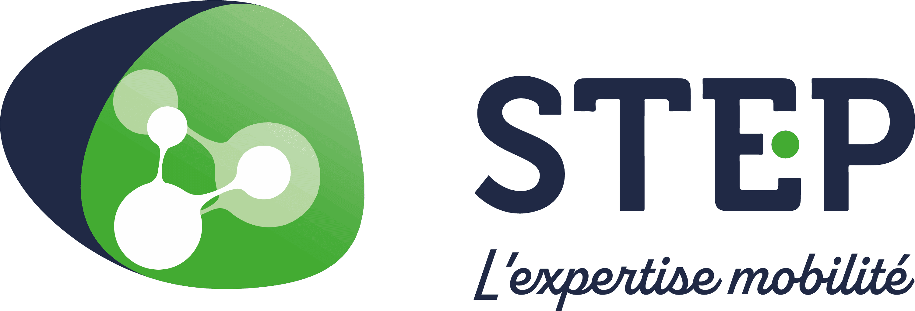 Logo de l'entreprise SOCIETE DE TRANSPORT EXPANSION PROMOTION